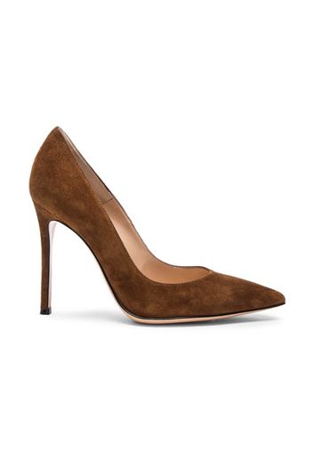 Gianvito Rossi Suede Pumps in Brown