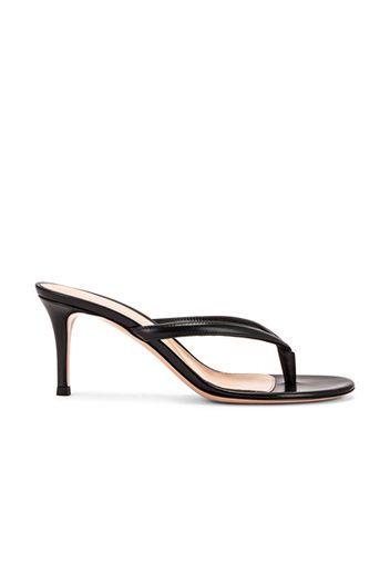 Gianvito Rossi Thong Sandals in Black