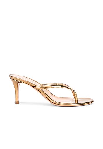 Gianvito Rossi Thong Sandals in Metallic Gold