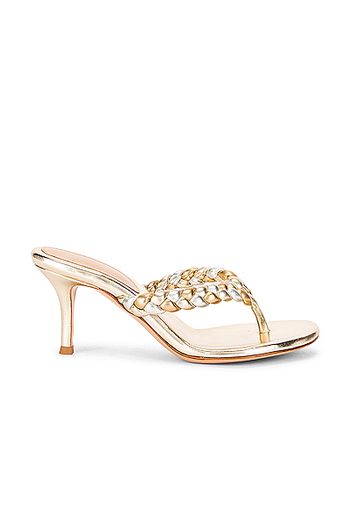 Gianvito Rossi Braid Thong Sandals in Metallic Gold