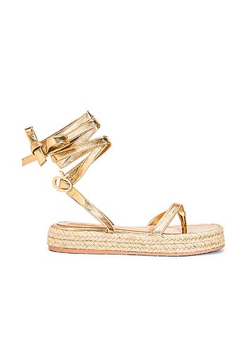 Gianvito Rossi Gladiator Espadrille Flat Sandals in Metallic Gold