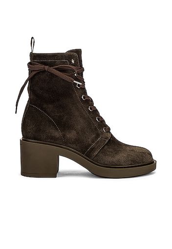 Gianvito Rossi Suede Lace Up Boots in Olive