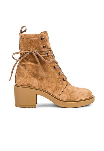 Gianvito Rossi Foster Suede Lace Up Boots in Brown