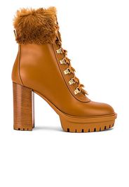 Gianvito Rossi Alaska Lace Up Boots in Tan