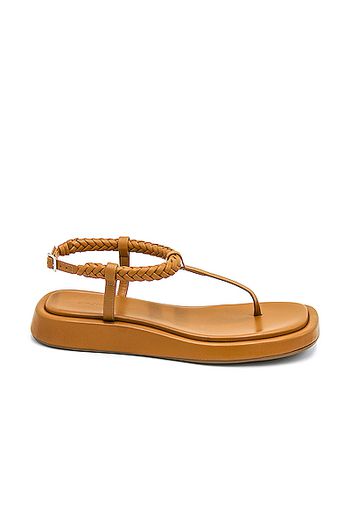 GIA/RHW Flat Thong Sandal in Neutral