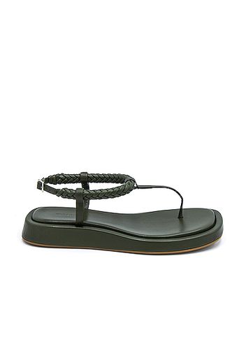 GIA/RHW Flat Thong Sandal in Army