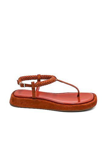 GIA/RHW Flat Thong Suede Sandal in Burnt Orange