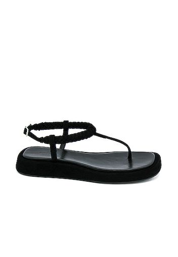 GIA/RHW Flat Thong Suede Sandal in Black