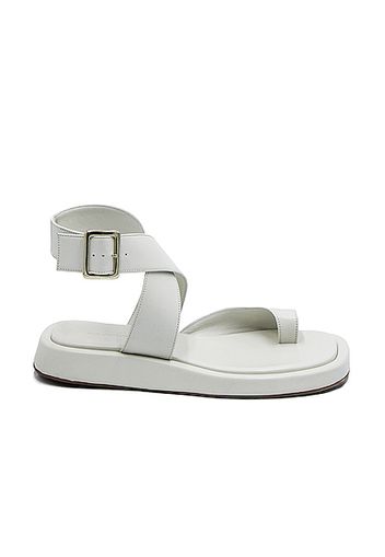 GIA/RHW Flat Toe Ring Wrap Sandal in White