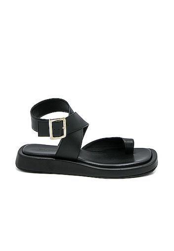 GIA/RHW Flat Toe Ring Wrap Sandal in Black