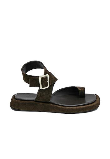 GIA/RHW Flat Toe Ring Wrap Suede Sandal in Brown