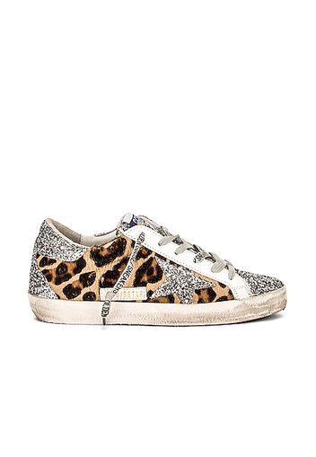 Golden Goose Superstar Sneaker in Brown