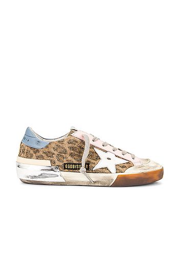 Golden Goose Super Star Sneaker in Brown