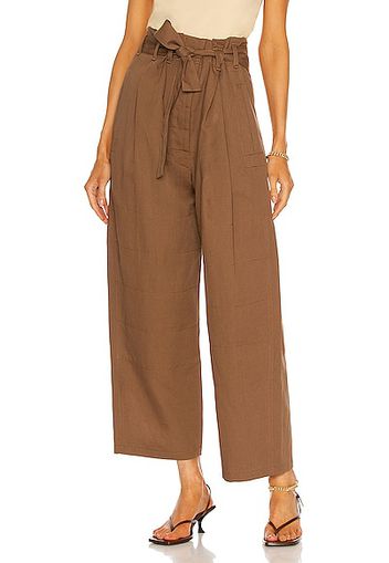 Lemaire Judo Pant in Brown