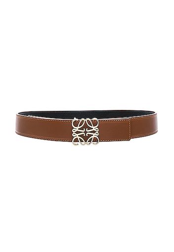 Loewe Anagram Belt in Multi