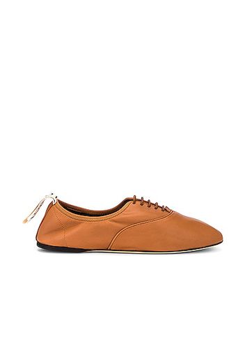 Loewe Soft Derby in Tan