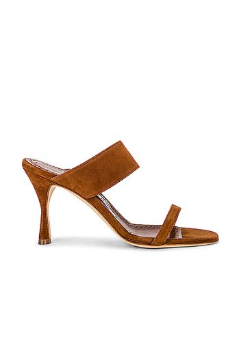 Manolo Blahnik Blasia 90 Mule in Brown