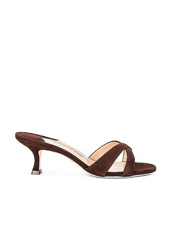 Manolo Blahnik Callamu 50 Suede Mule in Brown