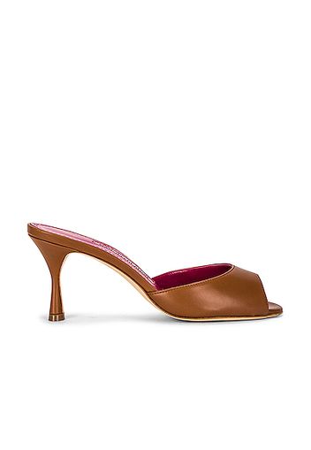 Manolo Blahnik Jada 70 Mule in Brown