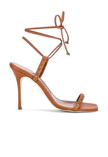 Manolo Blahnik Morata 105 Sandal in Brown