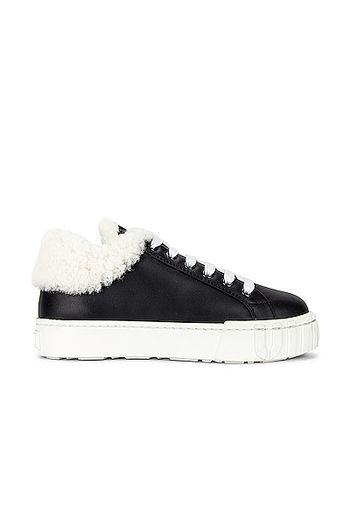 Miu Miu Lace Up Sneakers in Black