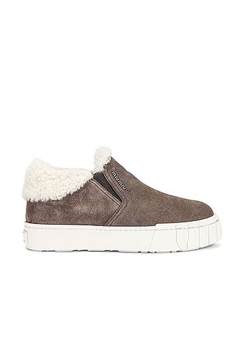 Miu Miu Suede Slip On Sneakers in Grey