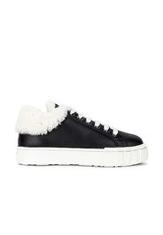 Miu Miu Lace Up Sneakers in Black