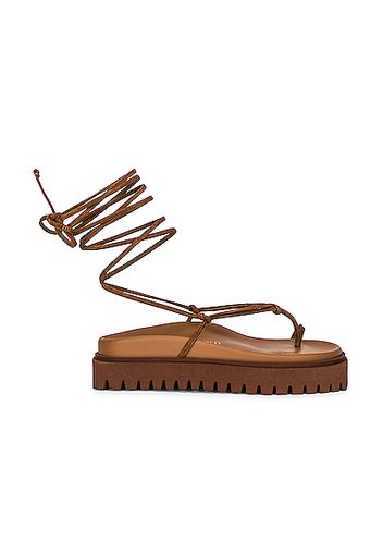 THE ATTICO Renee Lace Up Thong Sandal in Brown