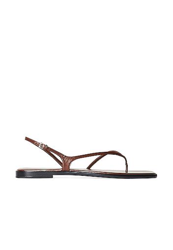 The Row Constance Leather Flat Sandals in Brown