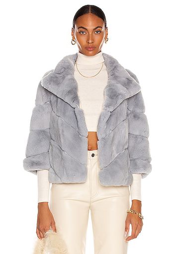 Yves Salomon Short Rex Rabbit Jacket in Baby Blue