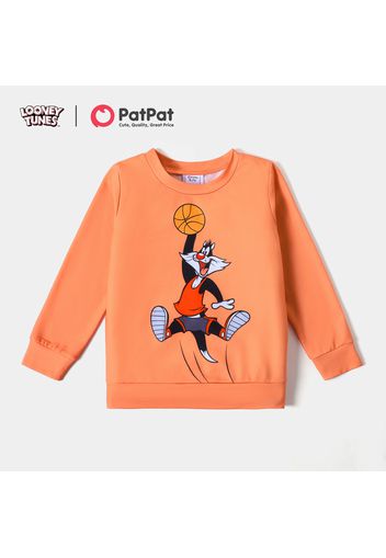 Looney Tunes Kid Boy Balls Print Pullover Sweatshirt