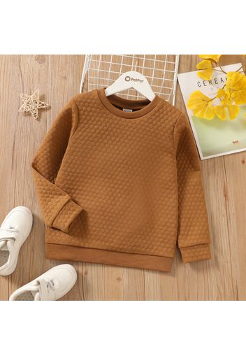 Kid Boy/Kid Girl Casual Textured Solid Color Pullover Sweatshirt