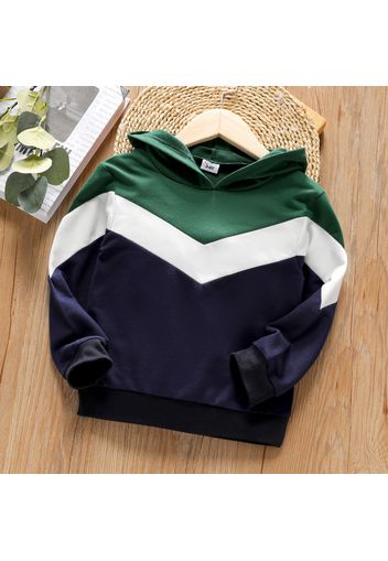 Toddler Boy Colorblock Casual Hoodie Sweatshirt