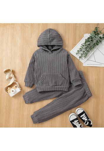 2-piece Toddler Boy/Girl Cable Knit Textured Hoodie Sweatshirt and Pants Set