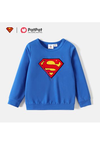 Justice League Kid Boy Embroidered Pullover Sweatshirt