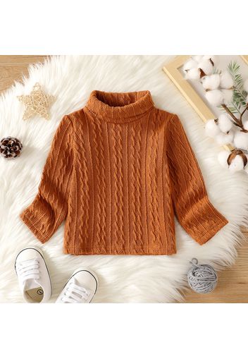 Baby Boy/Girl Solid Turtleneck Long-sleeve Cable Knit Pullover Sweater