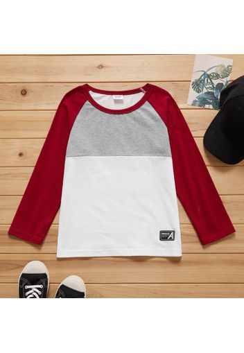 Kid Boy Long Raglan Sleeve Colorblock Letter Number Embroidery Casual T-shirt