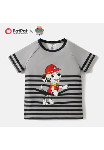 PAW Patrol Toddler Girl/Boy Striped Short Raglan Sleeve Tee