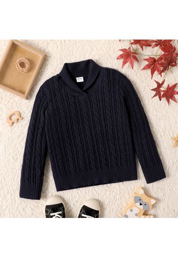 Kid Boy Cable Knit Lapel Collar Sweater