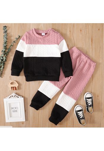 2-piece Toddler Girl/Boy Colorblock Cable Knit Sweatshirt and Pants Set