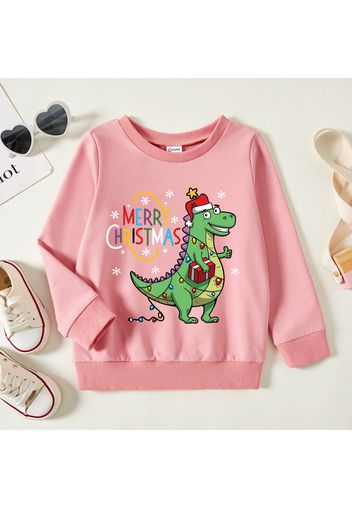 Christmas Toddler Boy Graphic Dinosaur and Snowflake and Letter Print Long-sleeve Pullover