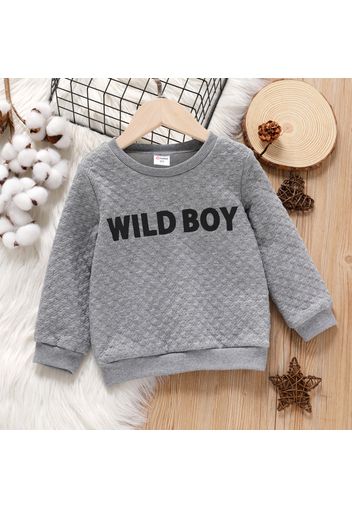 Toddler Boy Letter Print Textured Pullover Sweatshirt