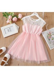 Kid Girl Lace Mesh Design Sleeveless Dress