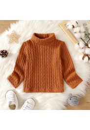 Baby Boy/Girl Solid Turtleneck Long-sleeve Cable Knit Pullover Sweater