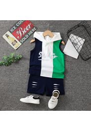 2pcs Toddler Boy Casual Colorblock Hooded Sleeveless Tee and Ripped Shorts Set