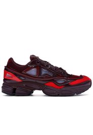 adidas Ozweego 3 Raf Simons Burgundy