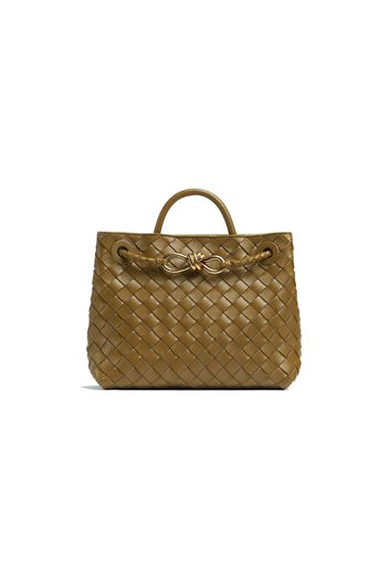 Bottega Veneta Small Andiamo Acorn