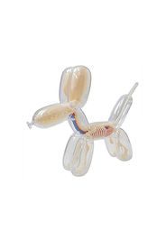 Jason Freeny 4D Master Funny Anatomy Balloon Dog Figure Clear