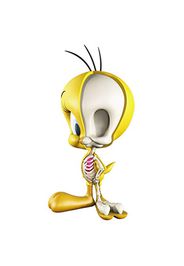 Jason Freeny XXRay Looney Tunes Tweety Bird Figure Multi