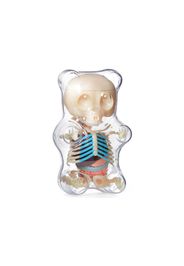 Jason Freeny 4D Master Funny Anatomy Gummy Bear Figure Clear